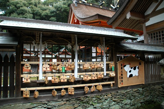 　　和歌山の神社_b0093754_0103842.jpg
