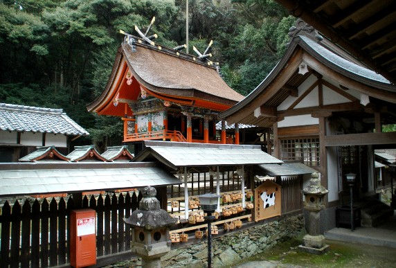 　　和歌山の神社_b0093754_0104726.jpg