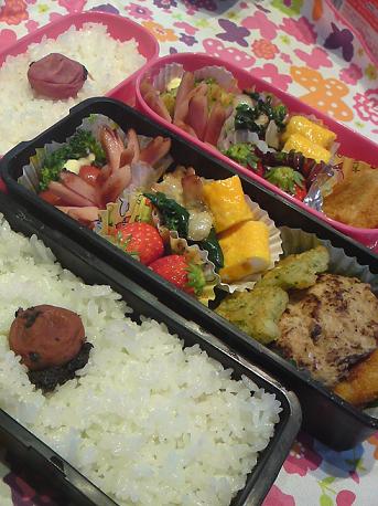 お弁当。_b0145062_23575243.jpg