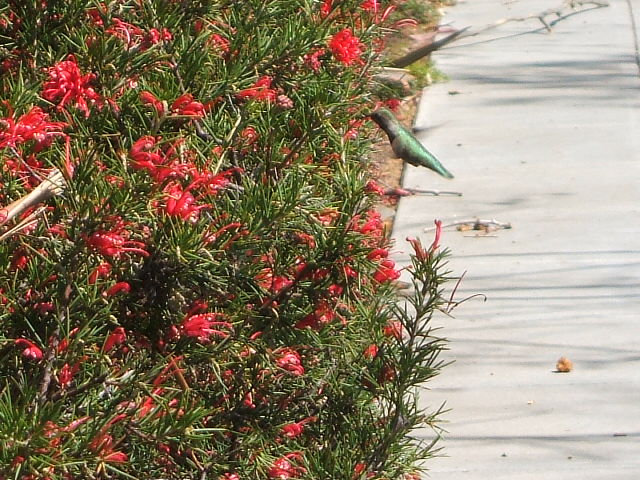 c0115366_2043680.jpg