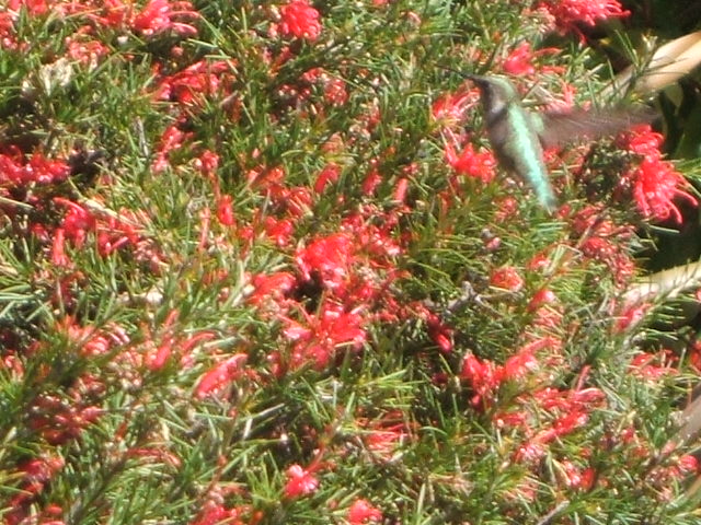c0115366_20562394.jpg