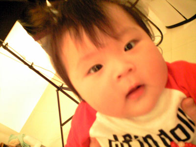 c0080367_11135280.jpg
