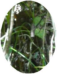 f0062870_1039961.jpg