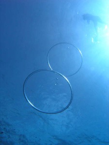 c0184272_9483485.jpg