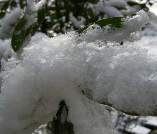 f0059473_18103675.jpg