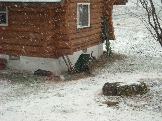 なごり雪な日_b0134278_20391842.jpg