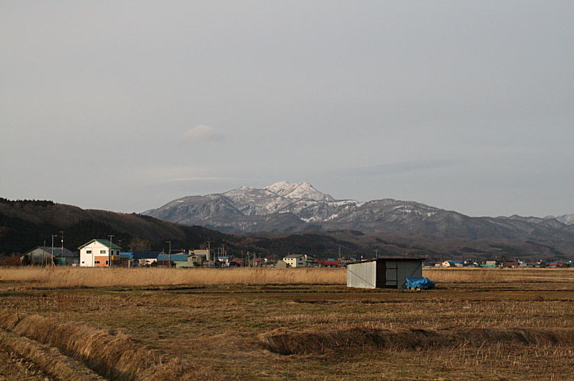 c0112479_83890.jpg