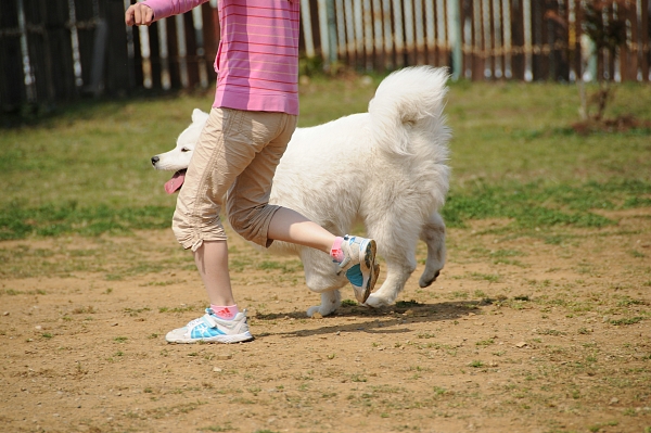 とぶき　200903 06_c0109780_19105726.jpg
