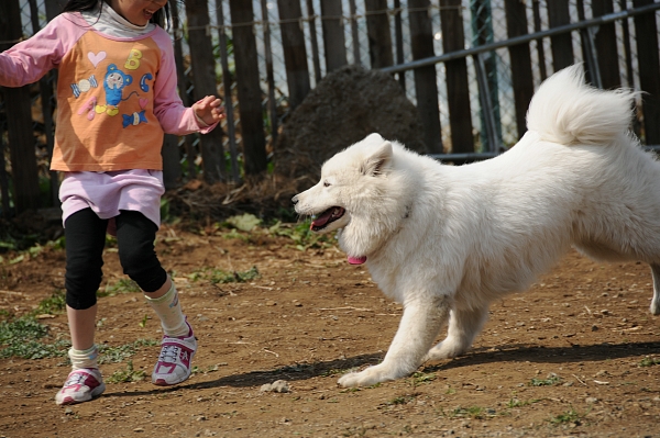 とぶき　200903 06_c0109780_1911334.jpg
