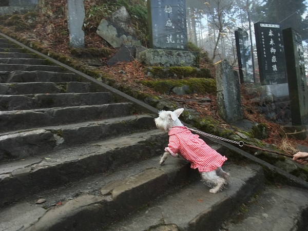 in-u 御嶽山 12_c0109780_1983597.jpg