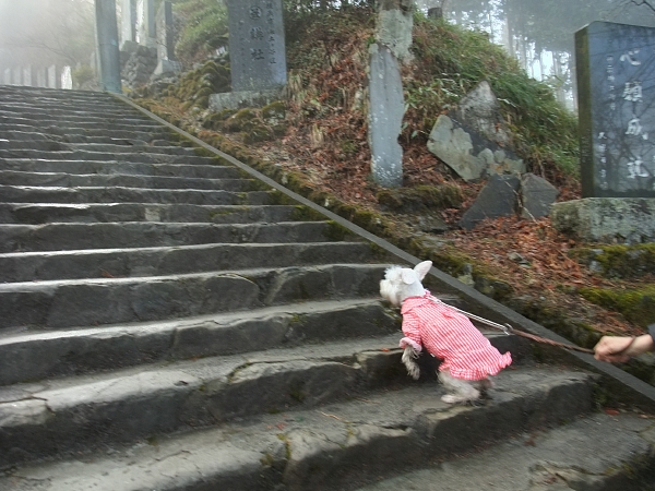 in-u 御嶽山 12_c0109780_1984312.jpg