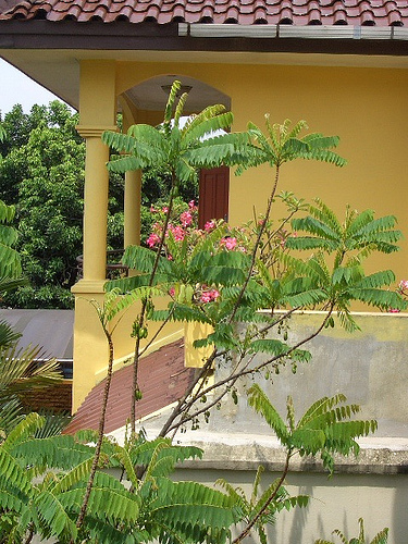 c0175883_17214088.jpg
