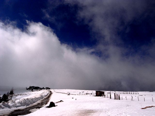 a0093592_0321429.jpg
