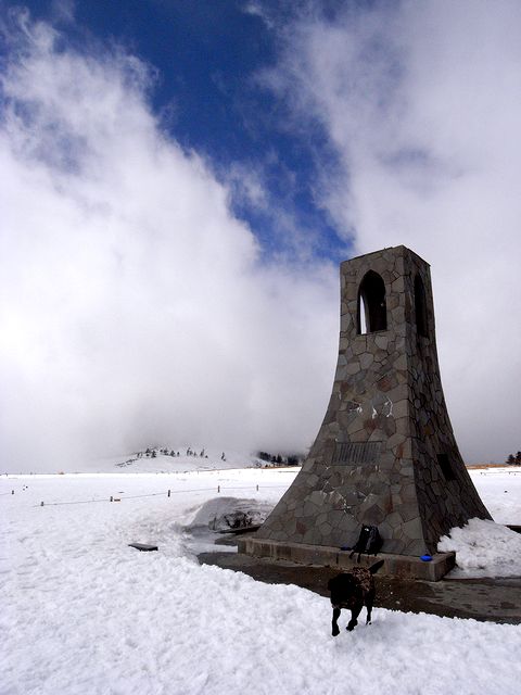 a0093592_16294.jpg