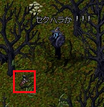 侍ジャパンおめでとぅ。_d0118293_2064519.jpg