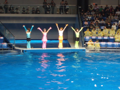 ビルの中の水族館　　その２_c0086895_22513710.jpg