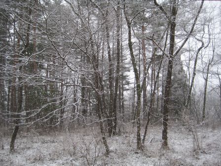 c0099395_8511397.jpg