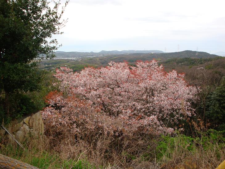 f0075595_0301468.jpg