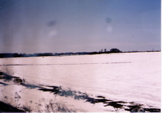 f0097397_0251265.jpg