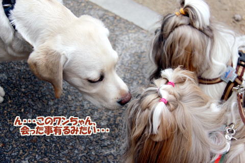 c0090198_155211.jpg