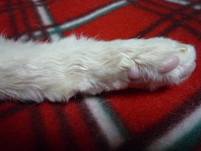 f0187700_1337198.jpg