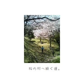 桜のある一日。_b0120001_21255018.jpg
