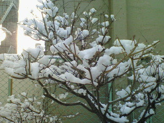 a0073915_8232433.jpg