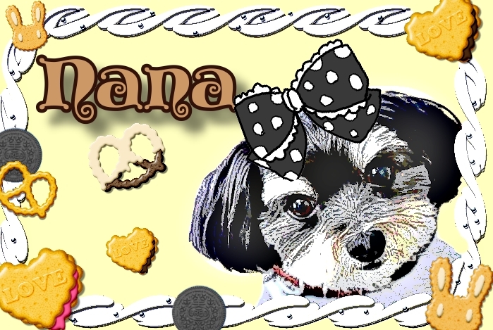 麻呂犬の擬人化イラストとマンゴー犬 麻呂犬写真館 Mamiphon 麻呂犬の擬人化イラストとマンゴー犬 麻呂犬写真館 Mamiphon