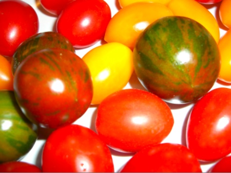 mixed tomatoes   いろんなトマト_c0193723_11482175.jpg