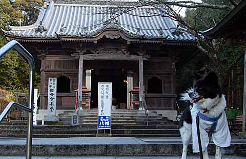 再び　第８番札所　熊谷寺（くまだにじ）_f0178924_894835.jpg