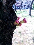 c0187025_21494532.jpg