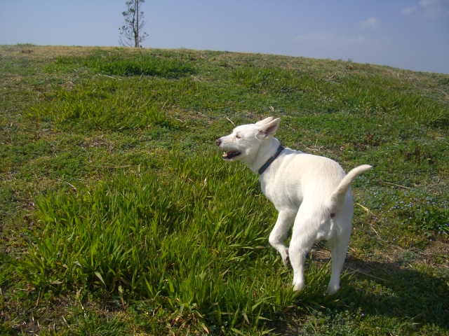 c0123029_049615.jpg