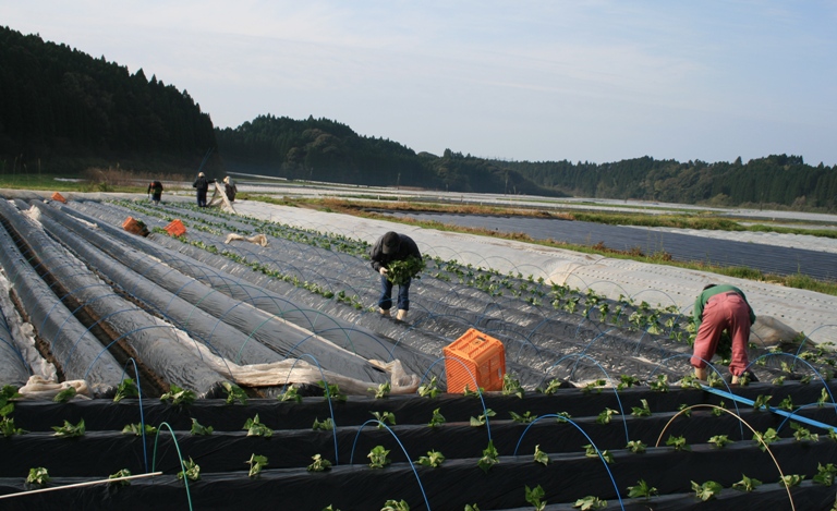 f0042737_1254136.jpg