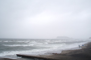 ＊春の嵐_a0030038_9251050.jpg