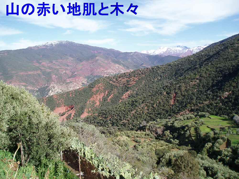 b0082147_23225278.jpg