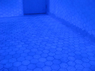 f0147756_7555237.jpg