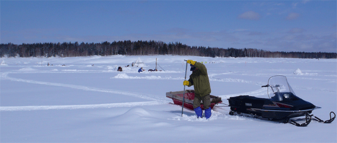 f0163063_14145178.gif
