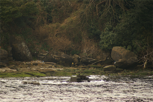 e0150566_3103533.jpg