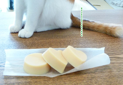 ヒトのものと猫_a0119470_0405045.jpg