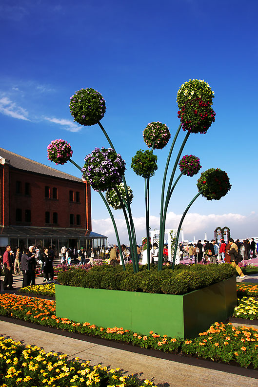 e0153076_1191415.jpg