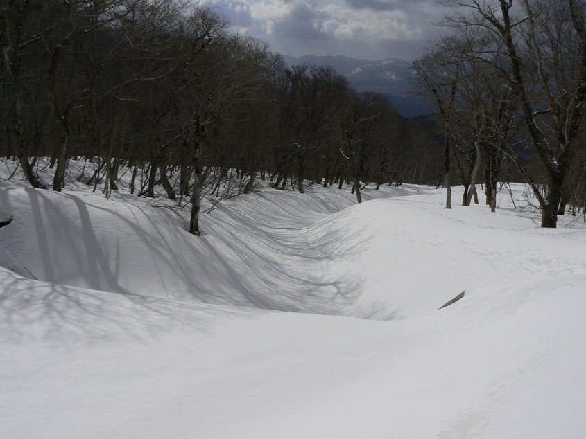 e0037777_21143518.jpg