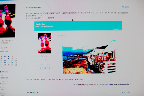 d0089281_8164742.jpg