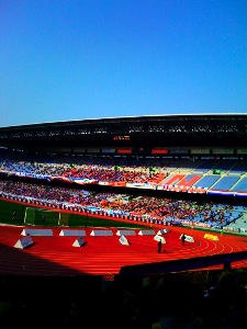 b0048882_345823.jpg