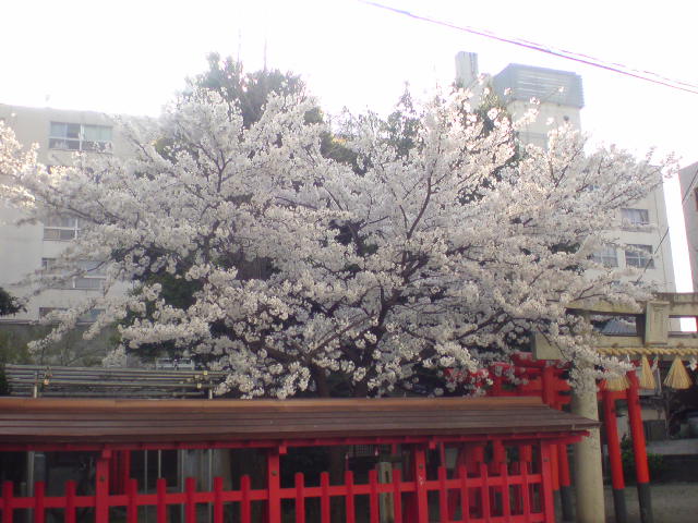 c0182782_22253264.jpg