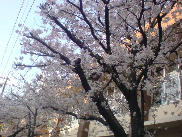 c0182782_22254921.jpg