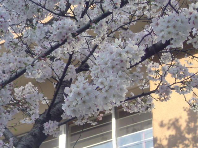 c0182782_222619.jpg