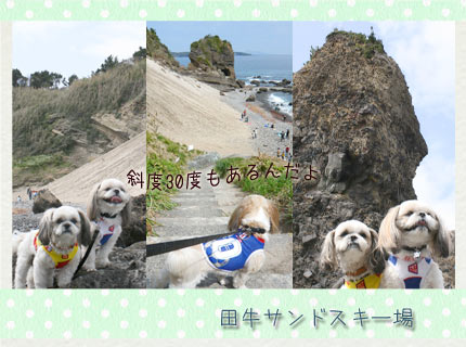 2009年3月20日 伊豆旅行2日目-1_b0024183_12222281.jpg