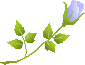 b0136683_9304437.gif
