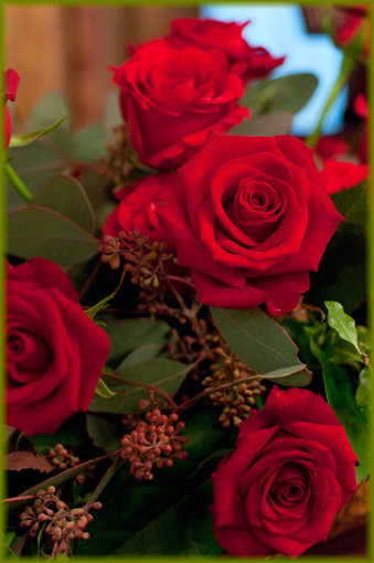 Rose red_d0092089_22415181.jpg