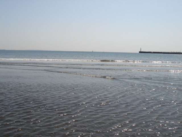 f0091590_065728.jpg